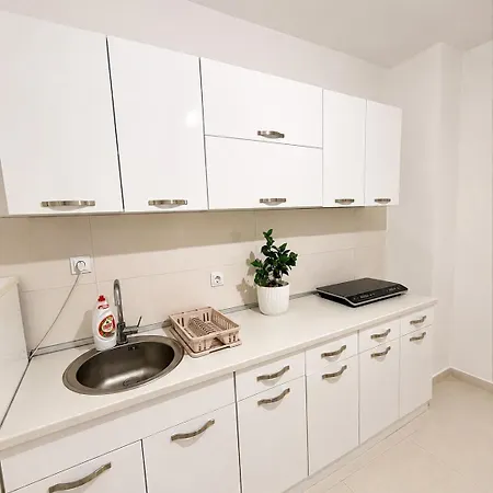 Basic Apartament